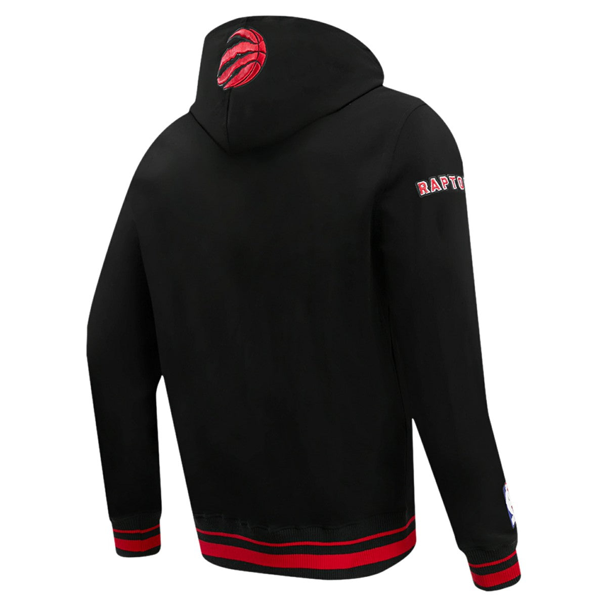 Toronto Raptors Pro Standard Script Tail Pullover Hoodie For Sale