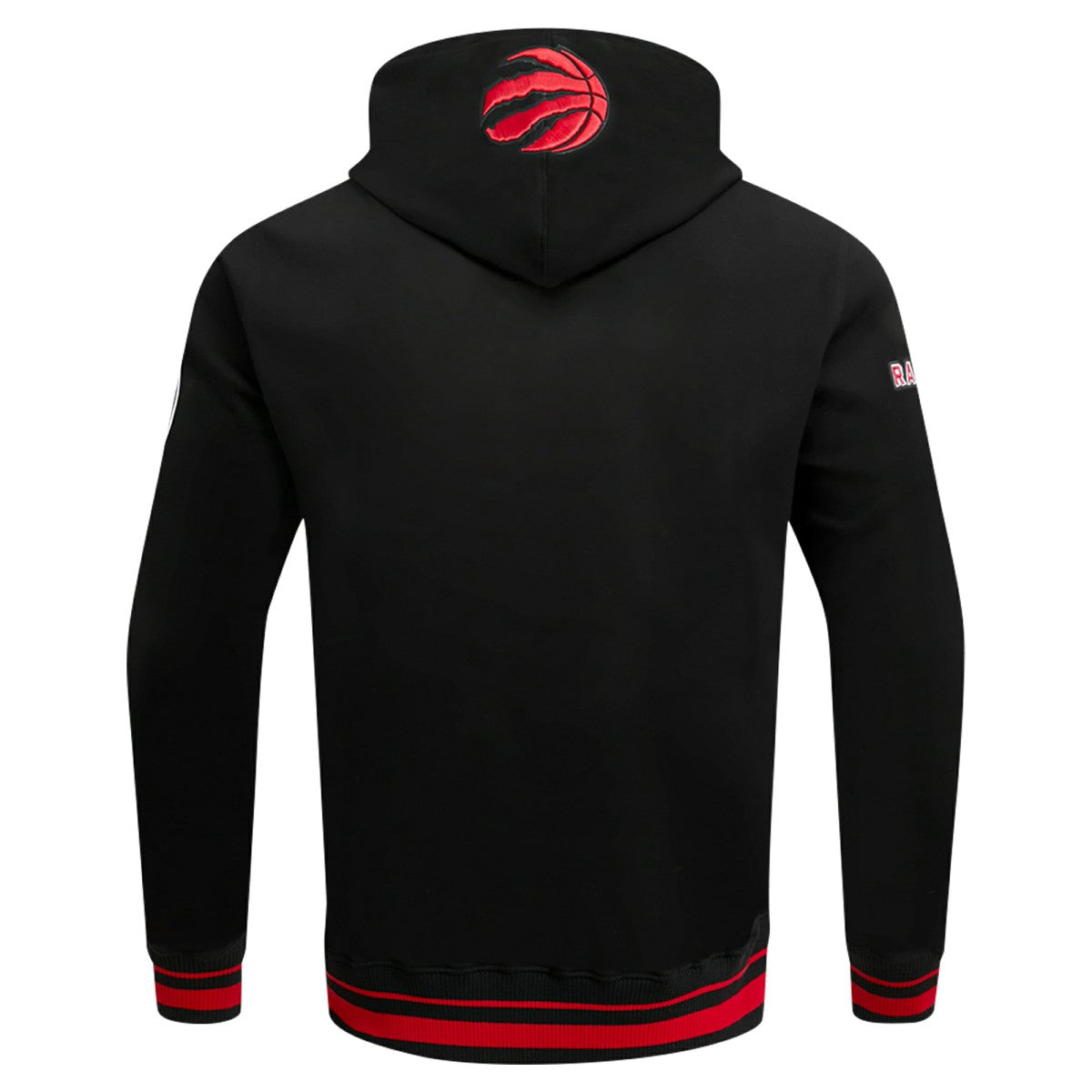 Toronto Raptors Pro Standard Script Tail Pullover Hoodie For Sale