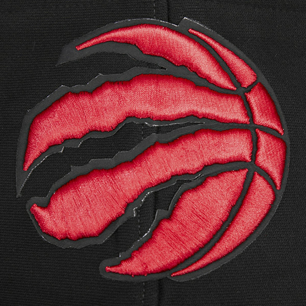 Toronto Raptors Pro Standard Script Tail Pullover Hoodie For Sale