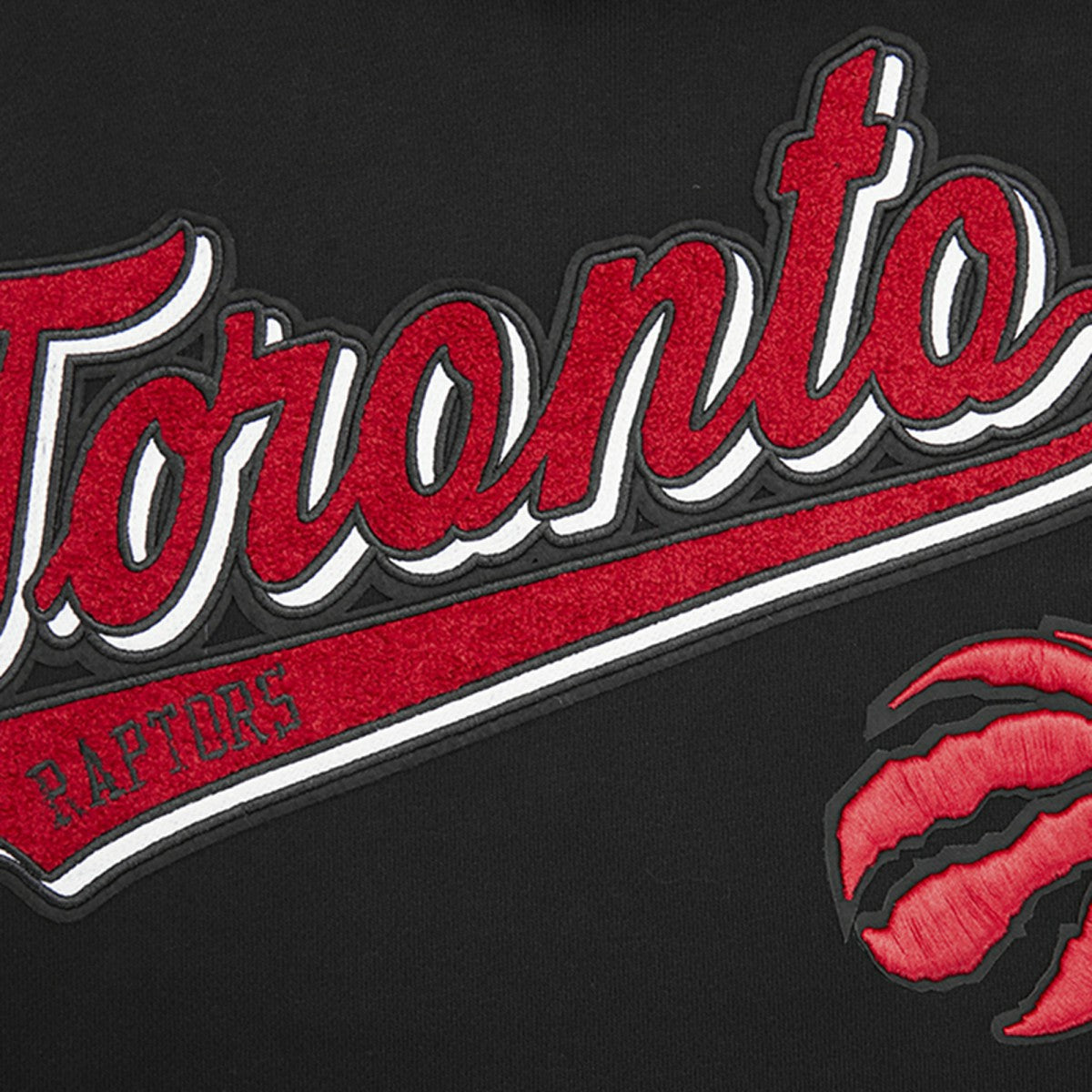 Toronto Raptors Pro Standard Script Tail Pullover Hoodie For Sale