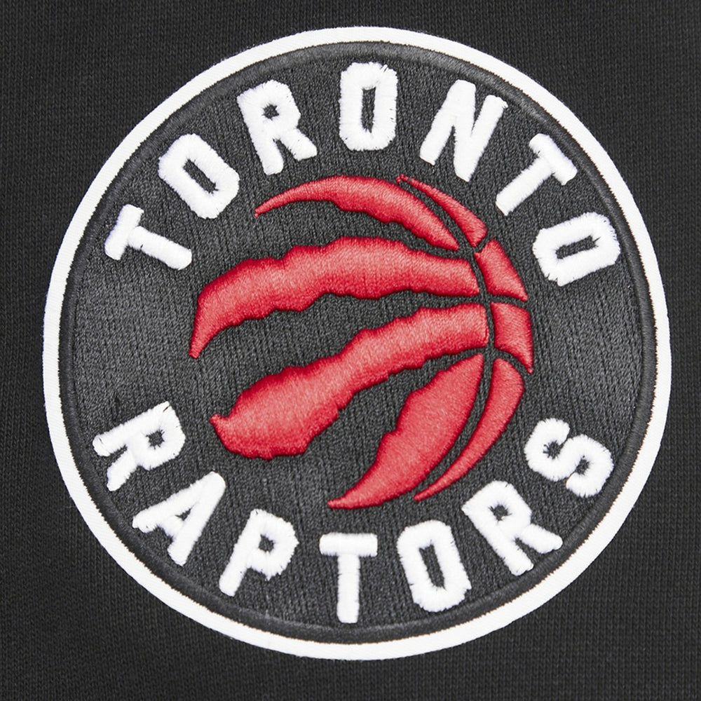Toronto Raptors Pro Standard Script Tail Pullover Hoodie For Sale