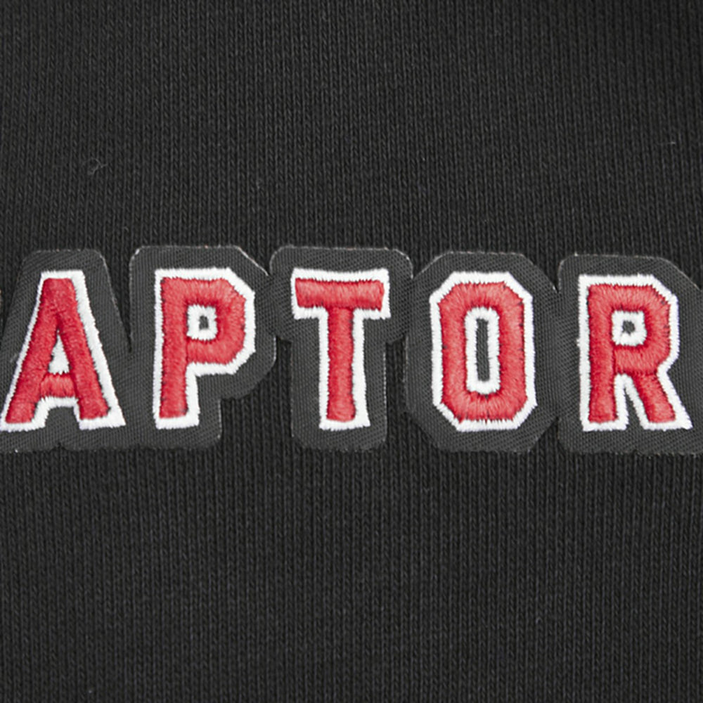 Toronto Raptors Pro Standard Script Tail Pullover Hoodie For Sale