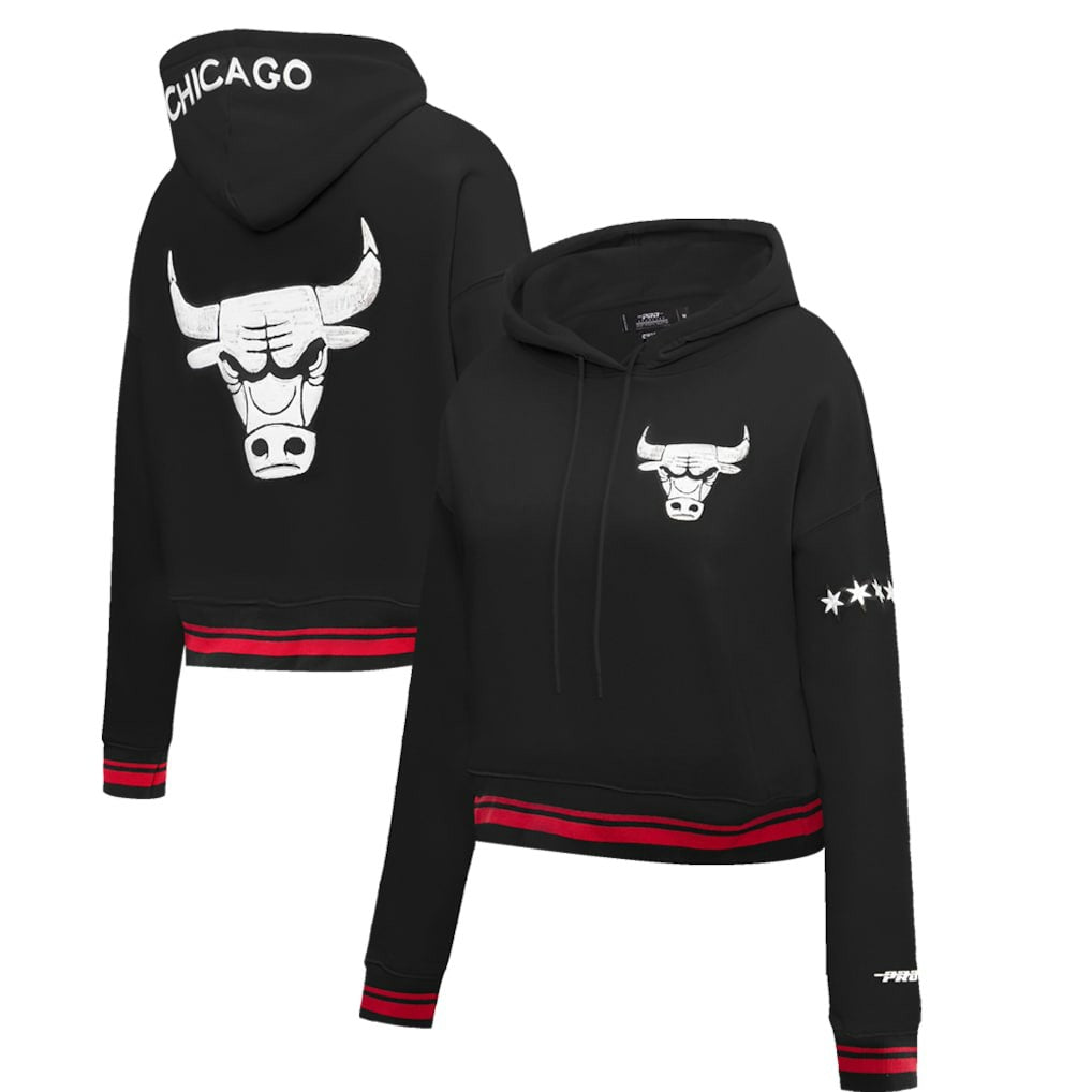 Chicago Bulls Pro Standard Women's 2023/24 City Edition Cropped Pullover Hoodie On Sale