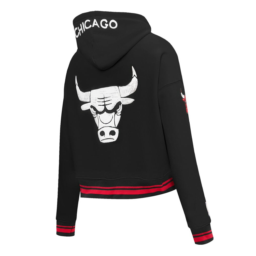Chicago Bulls Pro Standard Women's 2023/24 City Edition Cropped Pullover Hoodie On Sale