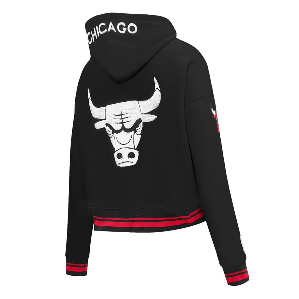 Chicago Bulls Pro Standard Women's 2023/24 City Edition Cropped Pullover Hoodie On Sale