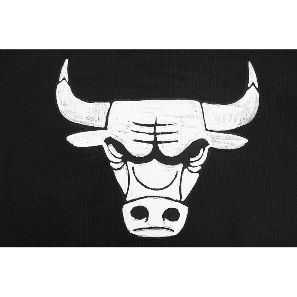 Chicago Bulls Pro Standard Women's 2023/24 City Edition Cropped Pullover Hoodie On Sale