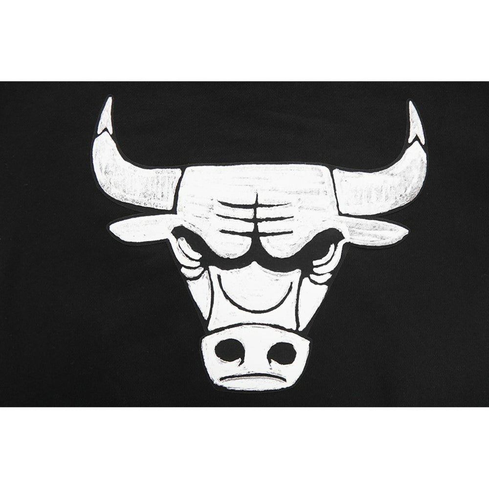 Chicago Bulls Pro Standard Women's 2023/24 City Edition Cropped Pullover Hoodie On Sale