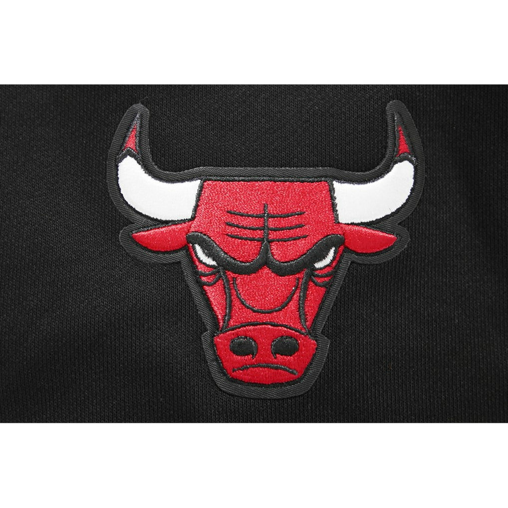 Chicago Bulls Pro Standard Women's 2023/24 City Edition Cropped Pullover Hoodie On Sale