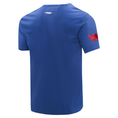 Sacramento Kings Pro Standard T-Shirt Discount