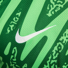 Paris Saint-Germain 2024/25 Goalkeeper Replica Stadium Long Sleeve Jersey Green - Nike