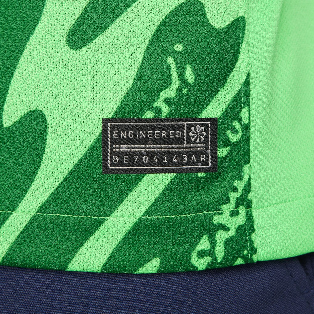 Paris Saint-Germain 2024/25 Goalkeeper Replica Stadium Long Sleeve Jersey Green - Nike