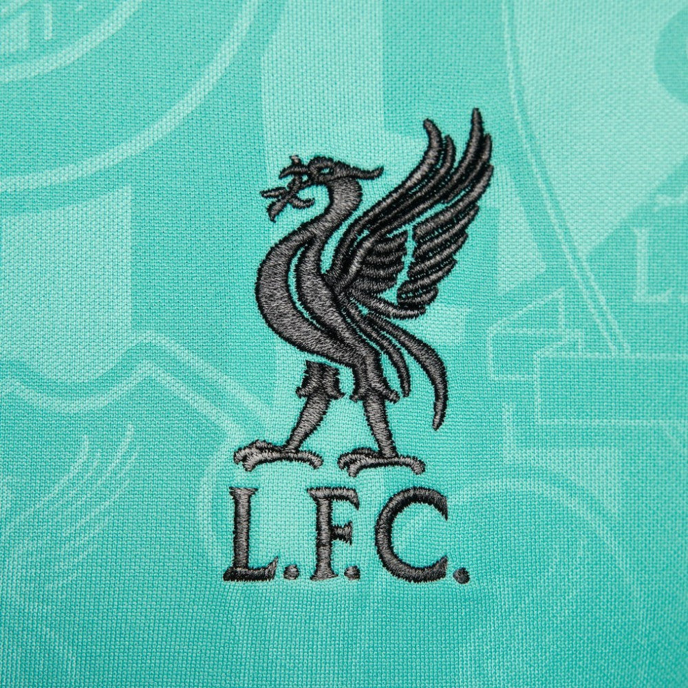 Liverpool 2024/25 Academy Pro Pre-Match Top Teal - Nike