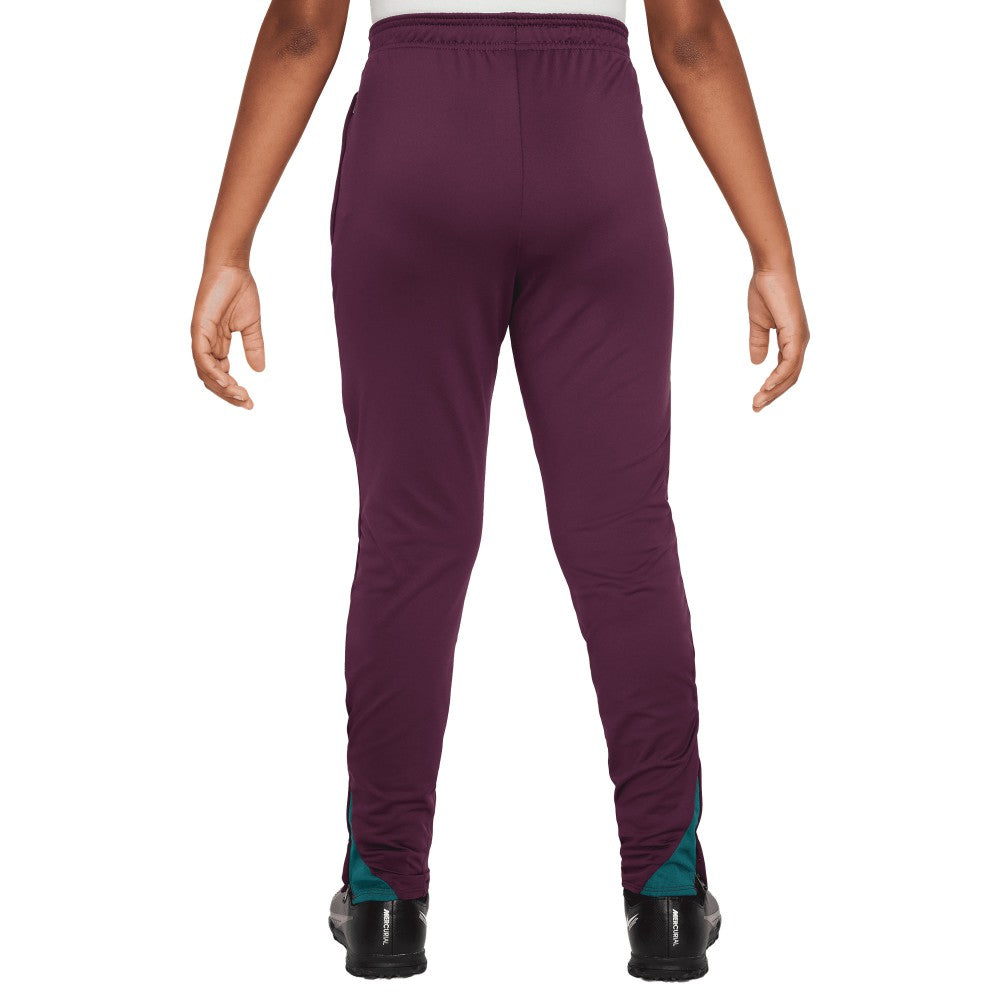 Paris Saint-Germain Youth 2024/25 Strike Training Pants Burgundy - Nike