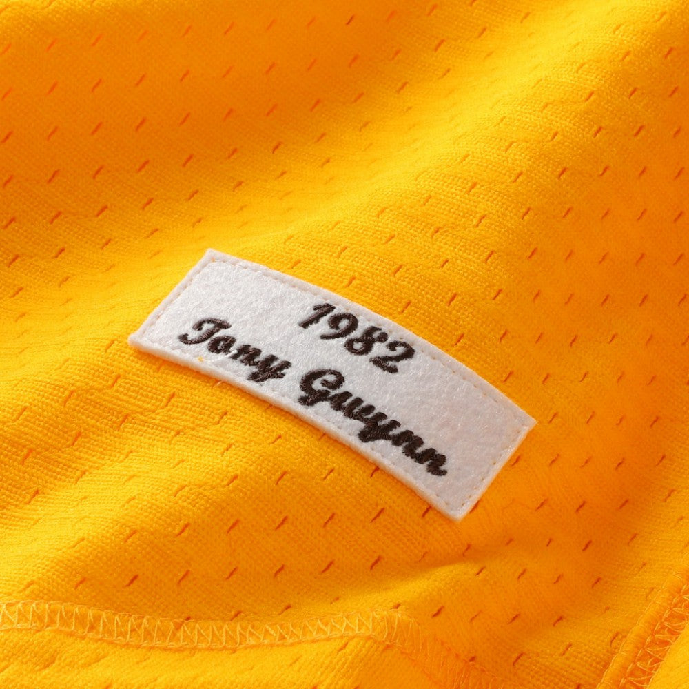 Tony Gwynn San Diego Padres Mitchell & Ness Authentic Batting Practice Jersey | MLB Near me