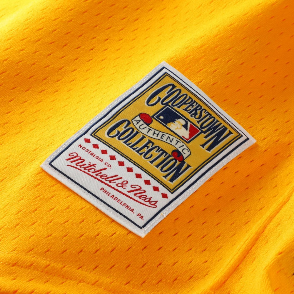 Tony Gwynn San Diego Padres Mitchell & Ness Authentic Batting Practice Jersey | MLB Near me