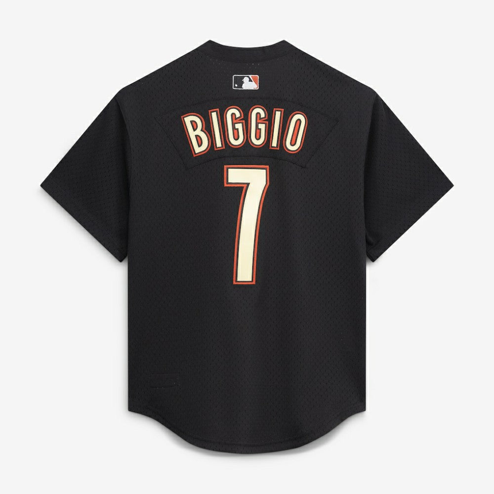 Craig Biggio Houston Astros Mitchell & Ness Authentic Batting Practice Jersey | MLB Sale
