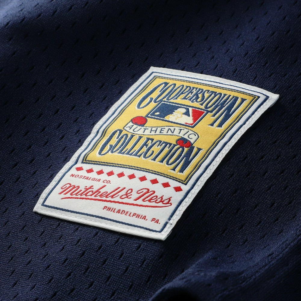 Carlton Fisk Chicago White Sox Mitchell & Ness Authentic Batting Practice Jersey | MLB Discount