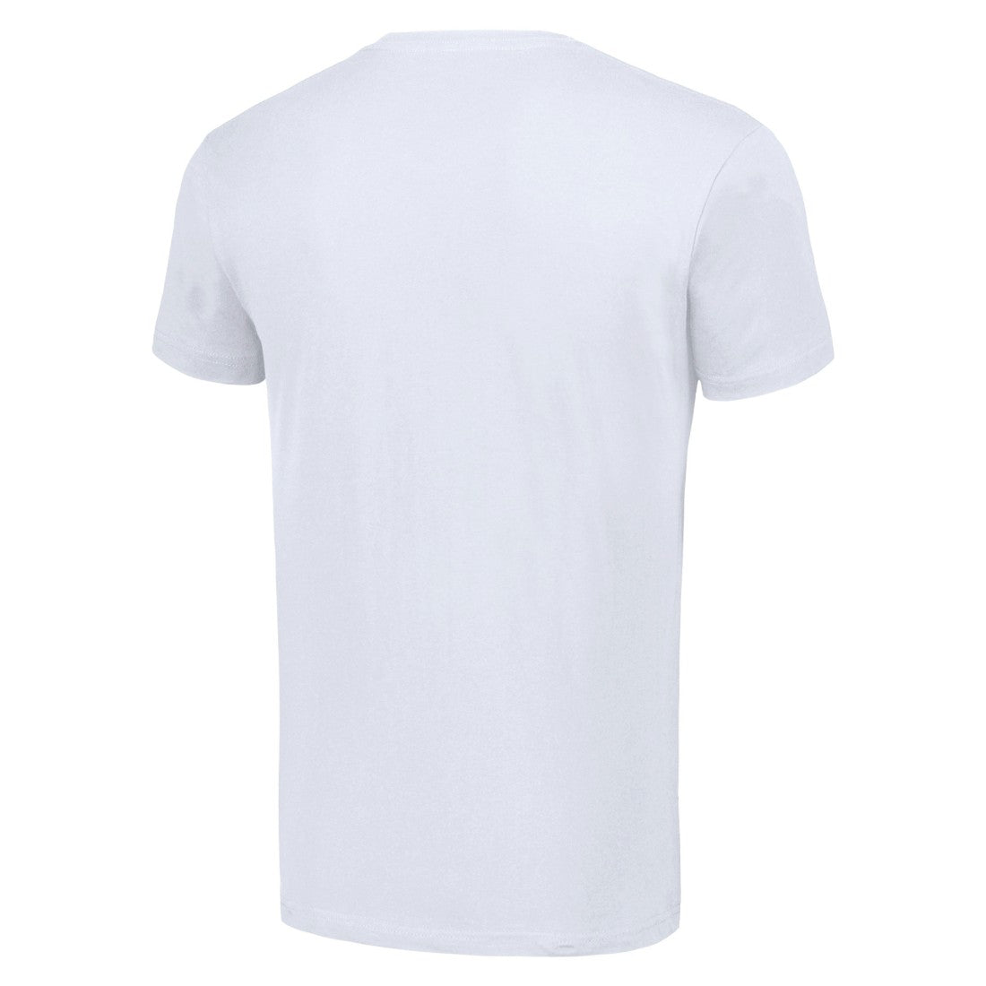 Detroit Lions  Starter Tailsweep T-Shirt
