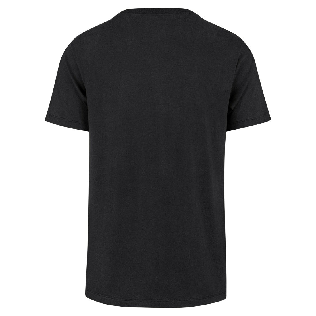 Detroit Lions 47 brand '47 Regional Franklin T-Shirt