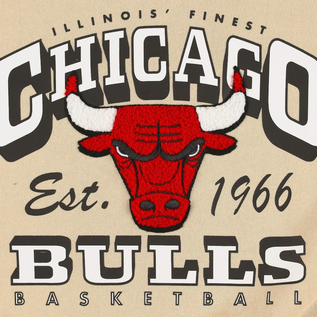 Chicago Bulls Qore Women's Oversized Cozy Mock Neck Pullover Sweatshirt Outlet