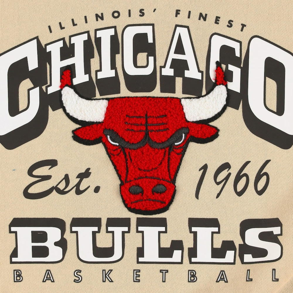Chicago Bulls Qore Women's Oversized Cozy Mock Neck Pullover Sweatshirt Outlet
