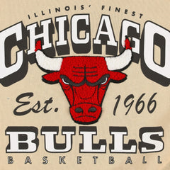 Chicago Bulls Qore Women's Oversized Cozy Mock Neck Pullover Sweatshirt Outlet