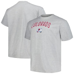 Colorado Avalanche Profile Big & Tall Arch Over Logo T-Shirt Outlet