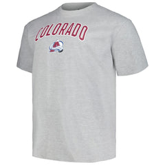 Colorado Avalanche Profile Big & Tall Arch Over Logo T-Shirt Outlet