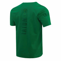 Jayson Tatum Boston Celtics Pro Standard Triple Tonal Player T-Shirt Outlet