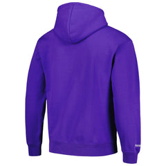 Sacramento Kings Hardwood Classics Tonal Pullover Hoodie Discount