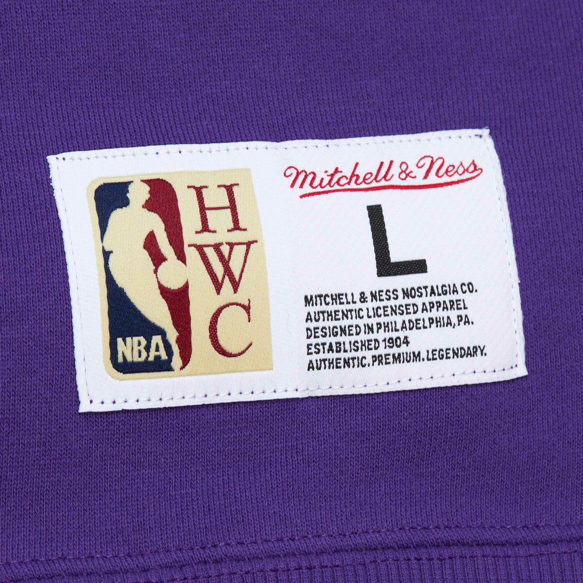 Sacramento Kings Hardwood Classics Tonal Pullover Hoodie Discount