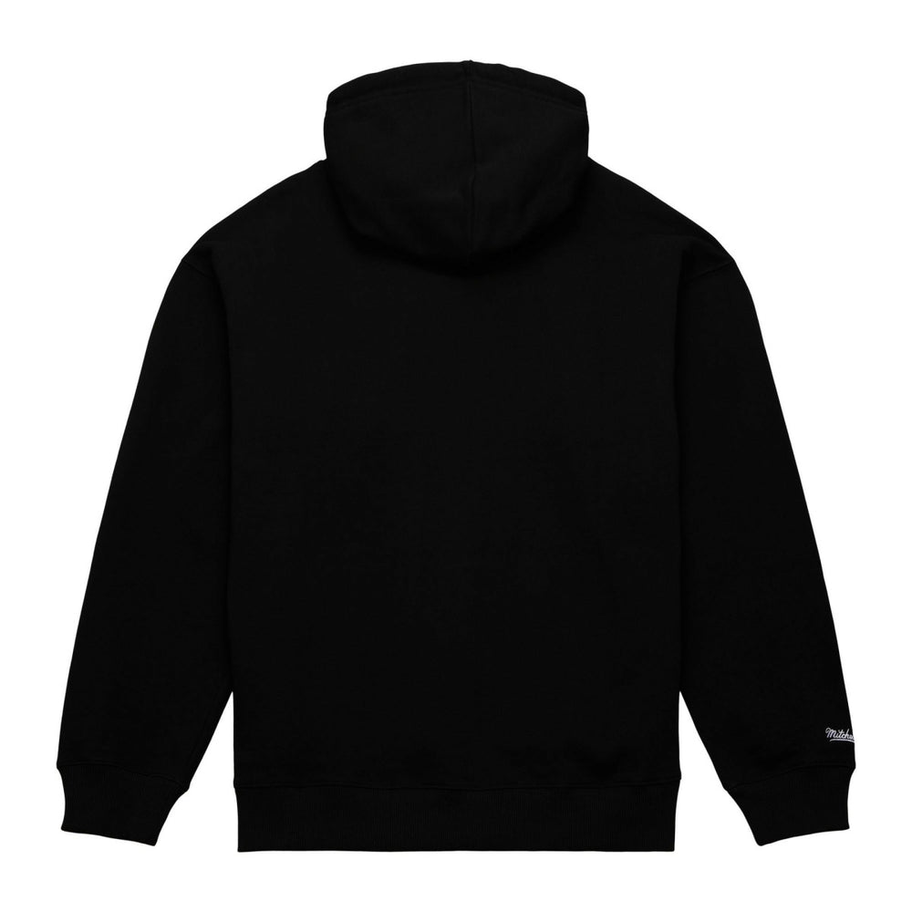 Toronto Raptors Hardwood Classics Tonal Pullover Hoodie New