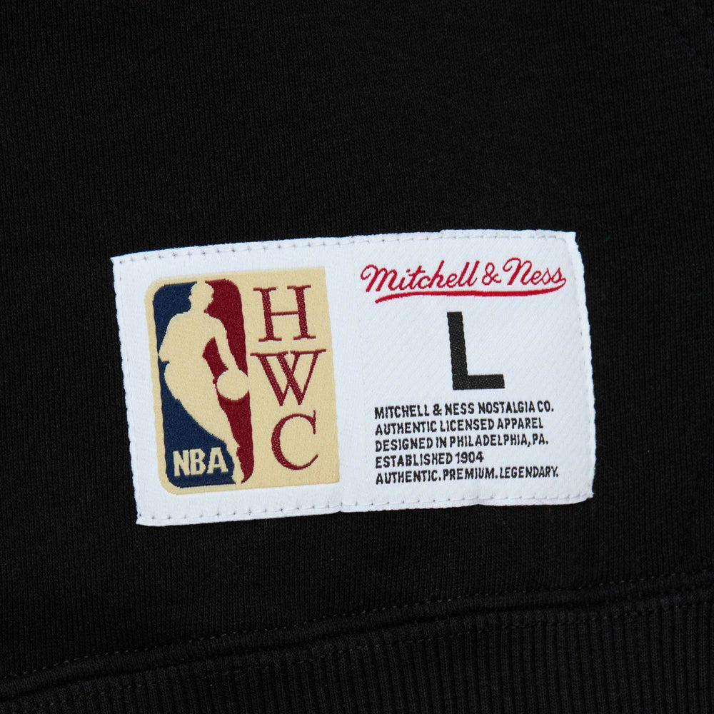 Toronto Raptors Hardwood Classics Tonal Pullover Hoodie New