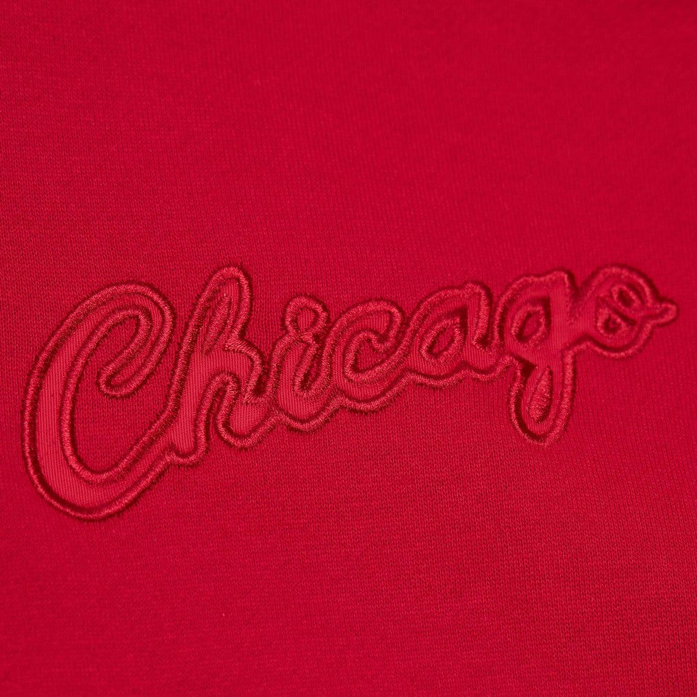 Chicago Bulls Hardwood Classics Tonal Pullover Hoodie sale On Sale