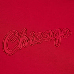 Chicago Bulls Hardwood Classics Tonal Pullover Hoodie sale On Sale