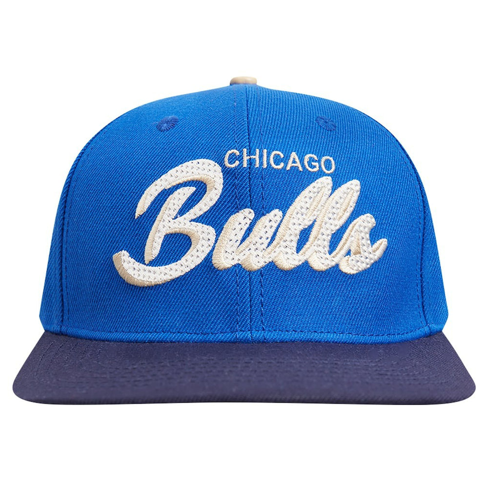 Chicago Bulls Pro Standard Legacy Snapback Hat Online