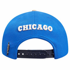 Chicago Bulls Pro Standard Legacy Snapback Hat Online