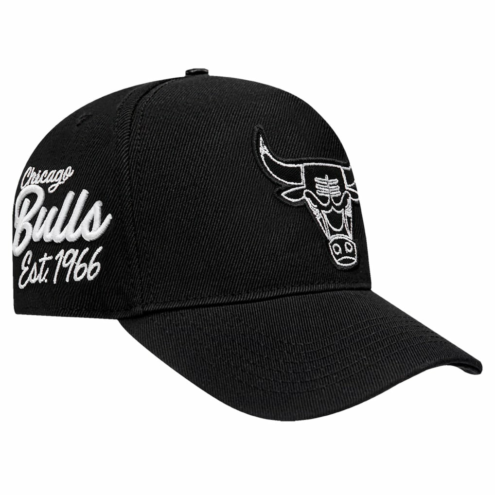 Chicago Bulls Pro Standard Paint the City Pinch Front Snapback Hat Online