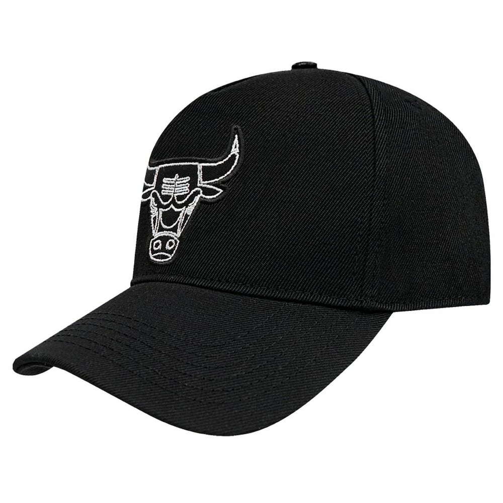 Chicago Bulls Pro Standard Paint the City Pinch Front Snapback Hat Online
