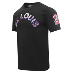 St. Louis Cardinals Pro Standard Cityscape T-Shirt | MLB Near me