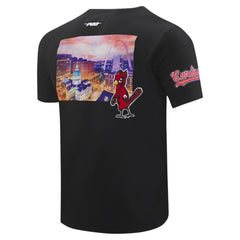 St. Louis Cardinals Pro Standard Cityscape T-Shirt | MLB Near me