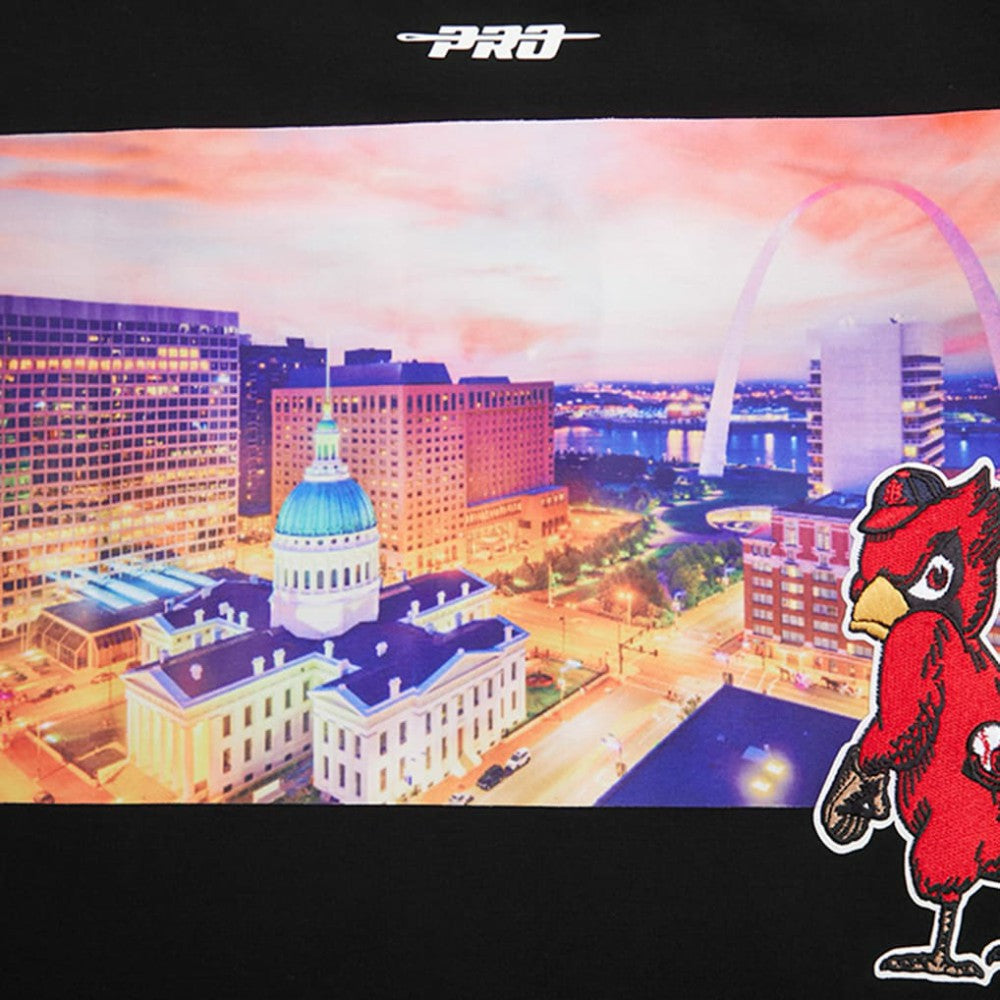 St. Louis Cardinals Pro Standard Cityscape T-Shirt | MLB Near me
