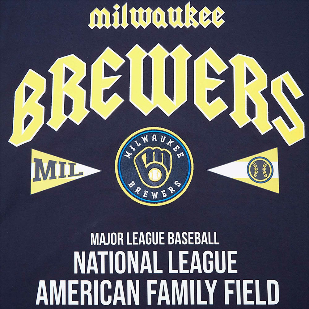 Milwaukee Brewers Pro Standard Oversized City Tour T-Shirt | MLB US