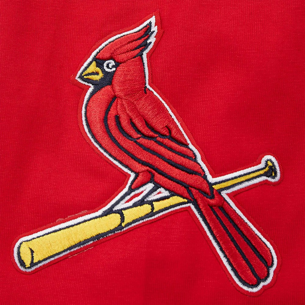 St. Louis Cardinals Pro Standard Oversized City Tour T-Shirt | MLB For sale