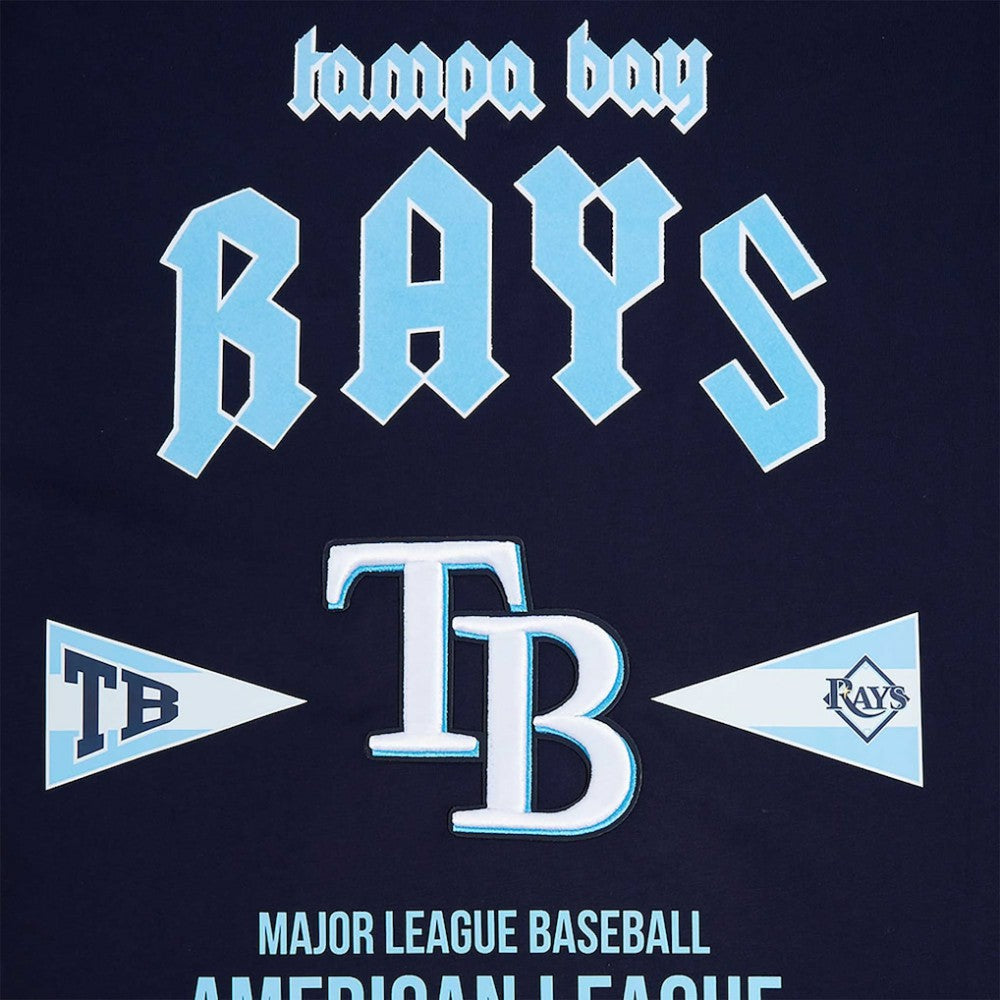 Tampa Bay Rays Pro Standard Oversized City Tour T-Shirt | MLB Near me