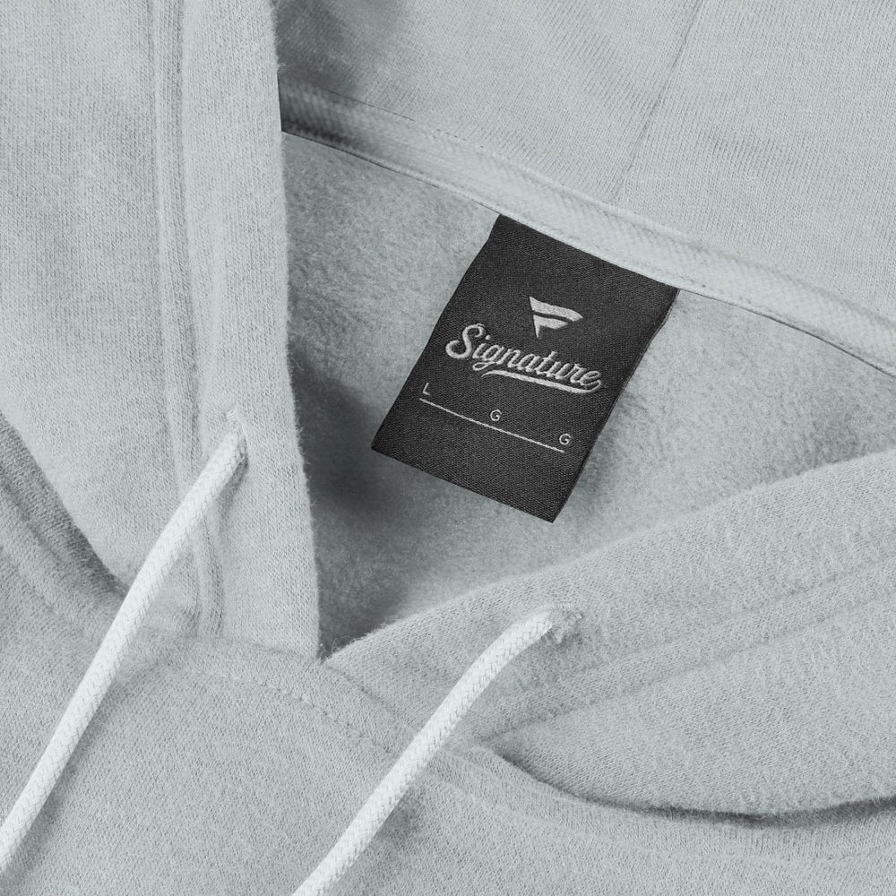 Detroit Lions Fanatics Unisex Sleek Elements Pullover Hoodie