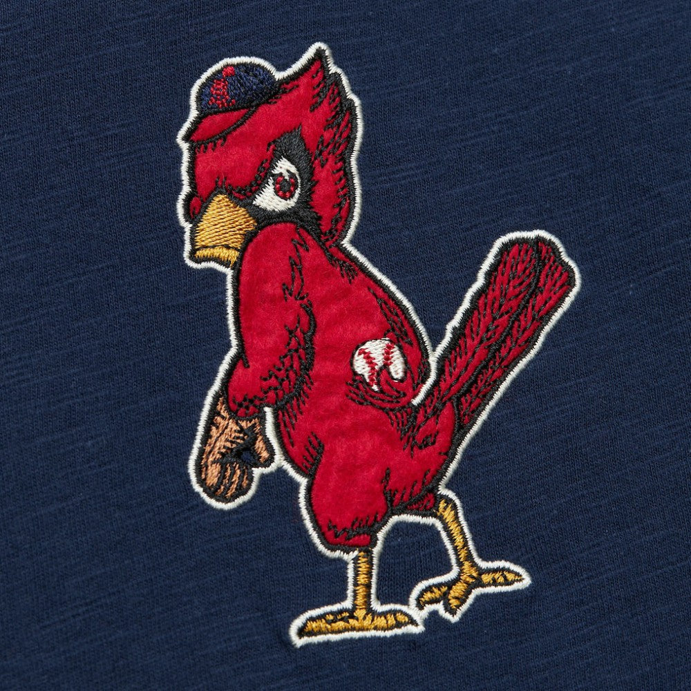 St. Louis Cardinals Mitchell & Ness Cooperstown Collection Legendary Raglan Slub Henley Three-Quarter Sleeve T-Shirt | MLB Near me