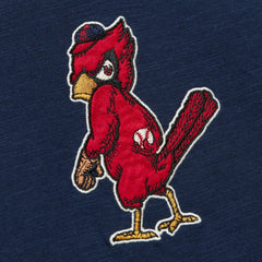 St. Louis Cardinals Mitchell & Ness Cooperstown Collection Legendary Raglan Slub Henley Three-Quarter Sleeve T-Shirt | MLB Near me