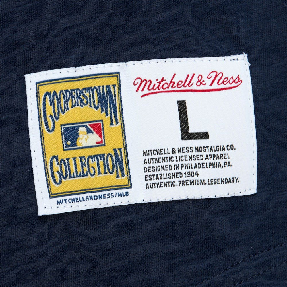 St. Louis Cardinals Mitchell & Ness Cooperstown Collection Legendary Raglan Slub Henley Three-Quarter Sleeve T-Shirt | MLB Near me
