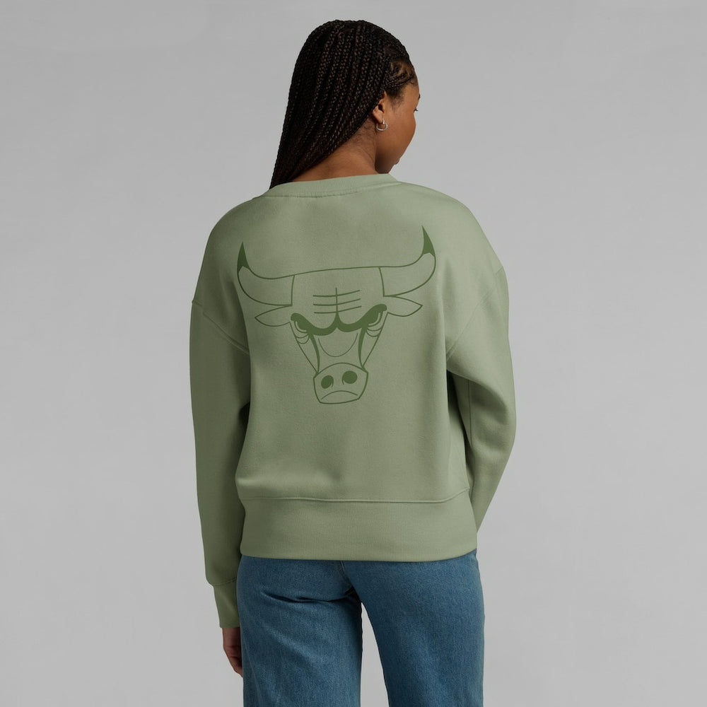 Chicago Bulls Women's Elements Flow Pullover Sweatshirt sale For Sale